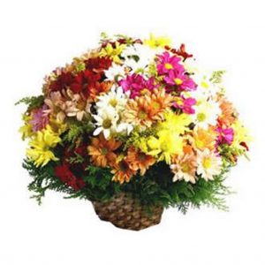 CESTA GRANDE FLORES DO CAMPO